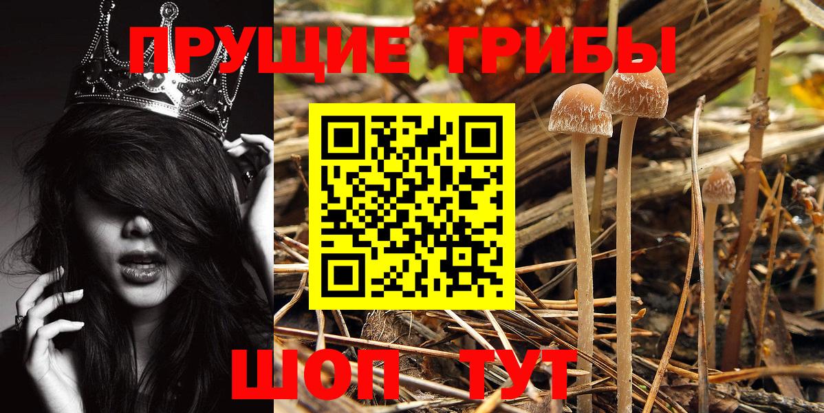 Галлюциногенные грибы GOLDEN TEACHER Кизляр